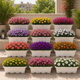 Go Hooked Jupiter Window Planter Pot Pack Of 12 | 24 Inch White Plastic Rectangular Plant Pot For Indoor Outdoor Gardening Balco