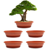 Livzing 15Inch Pack Of 5 Bonsai Flower Pot With Tray Virgin Planter Pots With Drain Holes Indoor Outdoor Balcony Gardening P