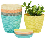 Amazon Brand Solimo Round Pots For Plants With Bottom Tray|Indoor And Outdoor Flower Pot For Home/Office/Table/Garden/Balcony 