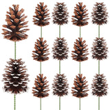 Fangoo 12Pcs 3.1-4.7in Large Natural Pine Cone Picks Snow Christmas Pine Cones with Stems for Crafts Holiday Wreath Garland Part