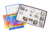 American Educational General Fossil Collection