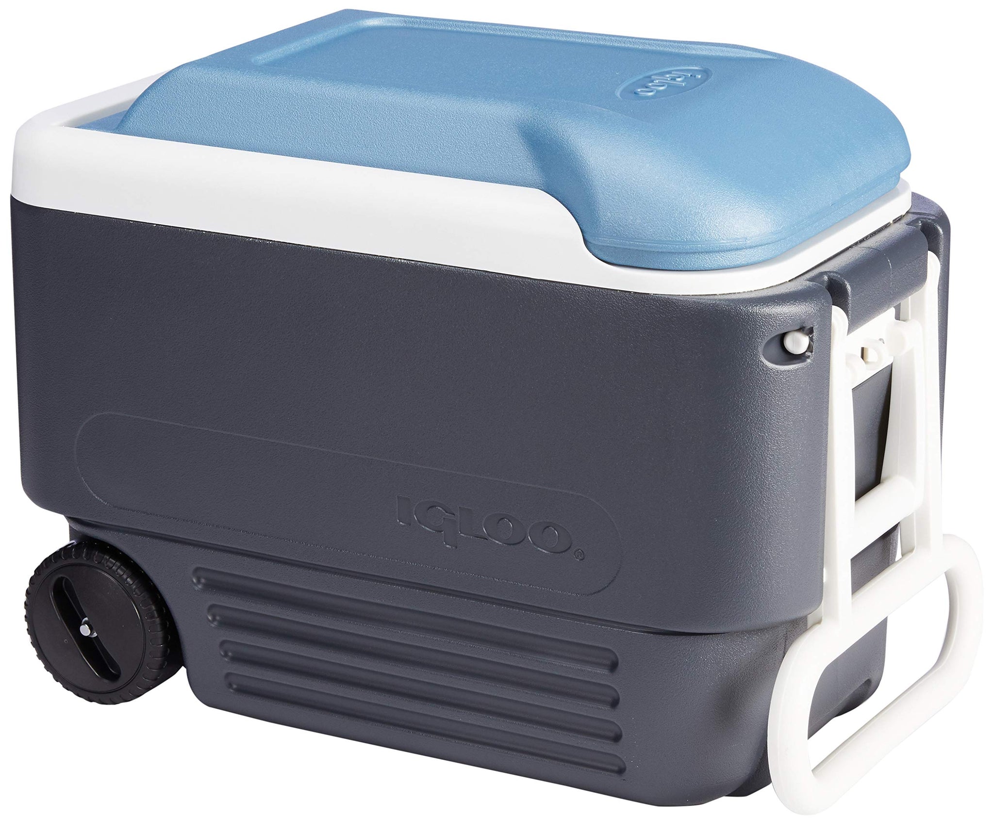Igloo Quart Maxcold Cooler, Blue/Navy, 40 Qt