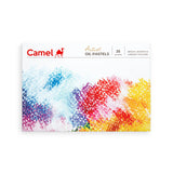 Camel Camlin Kokuyo Artist Oil Pastels 25 Shades (Multicolor)