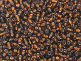Seed Beads Size:11/0 50 gr / 1.76 oz (Amber Silver Lined)