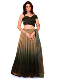 PURVAJA Lehenga Womens Choli (Liya) Semi-Stitched Lycra, Green, One Size