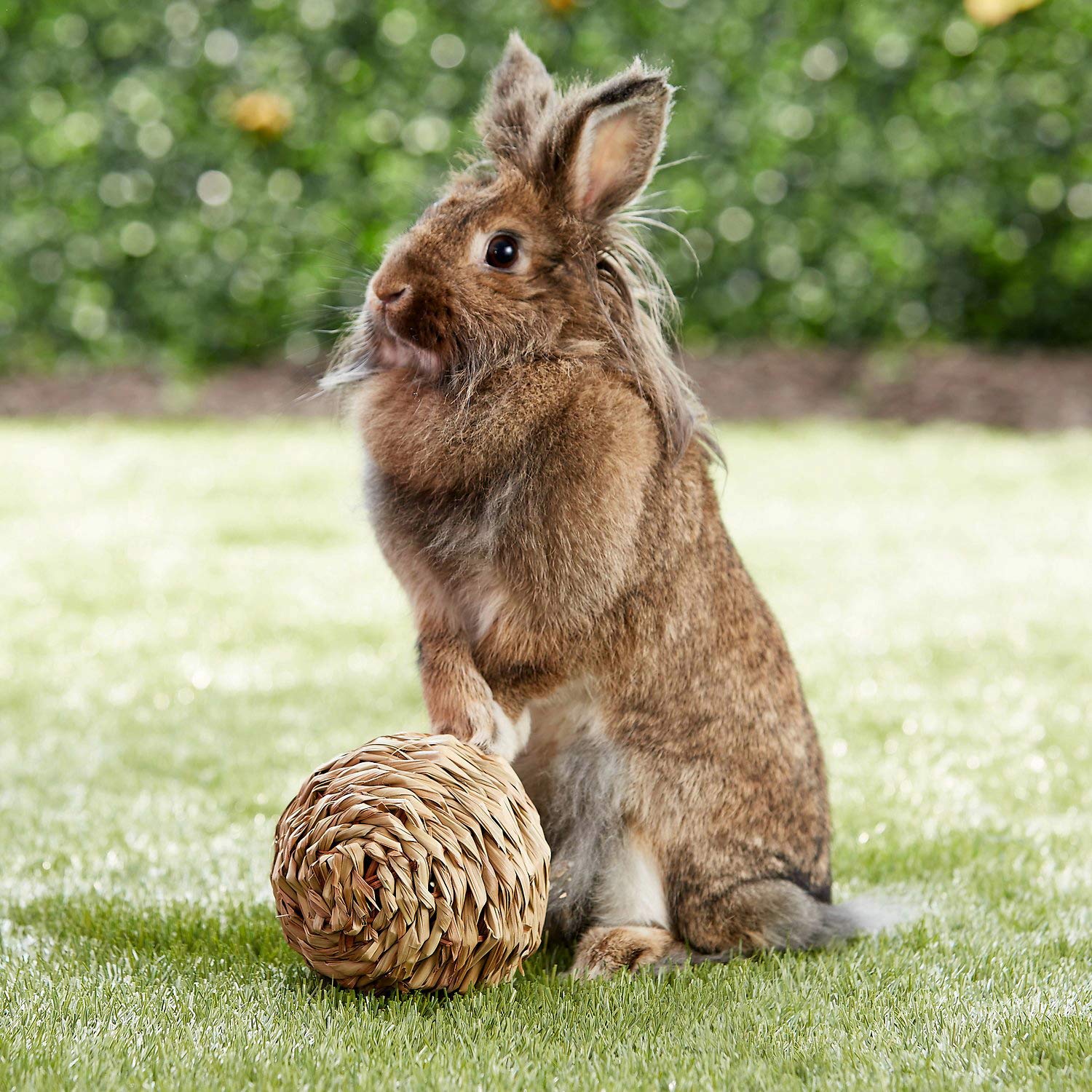 Peter's Woven Grass Play Ball for Rabbits