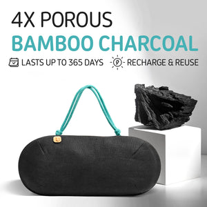 PURGGO Car Air Freshener - Lasts 365+ Days No Chemicals 100% Activated Bamboo Charcoal Fragrance-Free Deodorizer, Natural Auto O