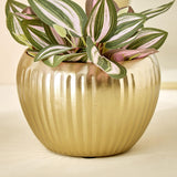 Home Centre Gloria Amaze Metal Ribbed Planter