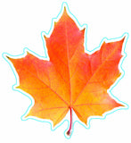 Eureka Photo Image of A Fall Leaf, 5 Paper Cut-Outs, Package of 36