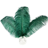 Happy Feather 16-18 inch Blackish Green Ostrich Feathers Craft for Wedding Party Centerpieces Home Decoration DIY Craft Pack of 
