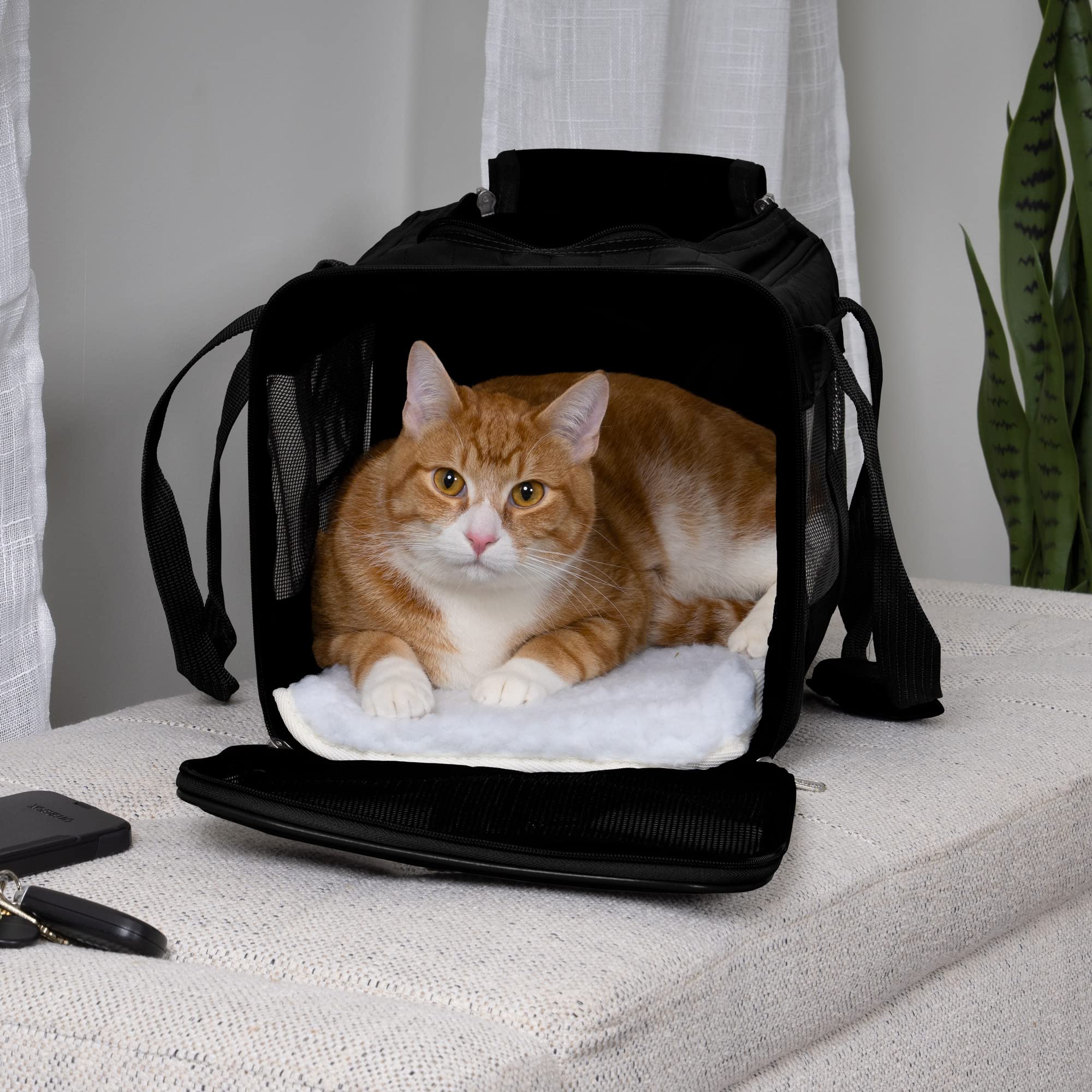 Sherpa Original Deluxe Travel Pet Carrier, Airline Approved & Guaranteed On Board - Black, Small