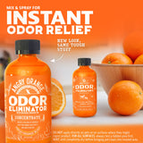 Angry Orange Pet Odor Eliminator For Home - 8Oz Dog And Cat Pee Smell Remover For Carpet, Grass, Tile And Furniture - Citrus Con