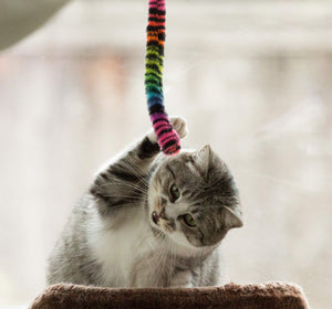SillyPet Youngever 12 Pieces Cat Toys Teasing Feather Toy, Retractable Wand with Assorted Teaser Refills, Interactive Feather Te