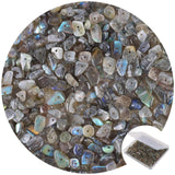 456 PCs Natural Chip Stone Beads, 5-8mm Irregular Multicolor Gemstones Loose Crystal Healing Labradorite Rocks with Hole for Jew