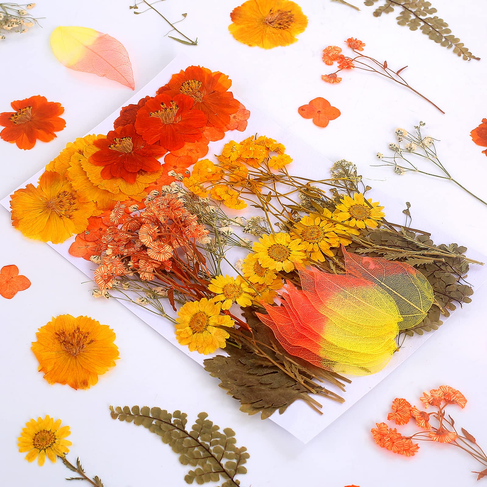 100 PcS Real Dried Pressed Flowers Leaves Natural Plant Herbarium for DIY Resin Mold Jewelry Making craft (20 Styles)-Fall Yello