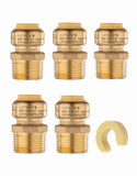 (Pack of 5) EFIELD Push fit pex fittings 1/2 Inch x 3/4 Inch Male Adapter Push to Connect Pex Copper, CPVC, with a Disconnect To