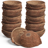 LemonRoad 24 Pcs Natural Coconut Shell Bowl Halves About 2/5 The Size of a Coconut Smooth Bottom for Easy Standing Craft Materia