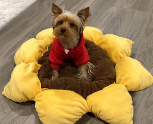 TONBO Soft Plush Small Cute and Cozy Nature Dog Cat Bed, Washer and Dryer Friendly (Sunflower)