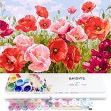 BAISITE Paint by Numbers Kit for Adults Beginners,20 Wx16 L Canvas for Painting Kits for Adults in Colorful Box Poppy Flowers-BS
