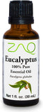Eucalyptus