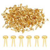PATIKIL 200 PCS Paper Brass Fasteners Split Pins Pastel Mini Metal Brads Round Head Plated Fastener for Craft Art Scrapbooking D