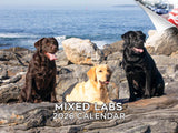 2025 2026 Labrador Mixed Calendar - Dog Breed Monthly Wall Calendar - 12 x 18 Open - Thick No-Bleed Paper - Giftable - Academic 