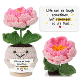 HEXMOZ Get Well Gifts for Women, Friends - Handmade Collectible Peony Doll with Positive Card - Encouragement, Feel Better, Chee