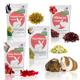 Snout and Shell Floral Favorites 4-in-1 Natural Treats for Small Pets - Pea Flakes, Marigold, Rose Petals & Hibiscus - Healthy S