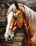 Moohue Stamped Cross Stitch Kits for Adults Skull 14CT Pre Printed Cross Stitch Kits for Beginners (Horse)