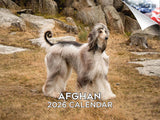 2025 2026 Afghan Hound Calendar - Dog Breed Monthly Wall Calendar - 12 x 18 Open - Thick No-Bleed Paper - Giftable - Academic Te