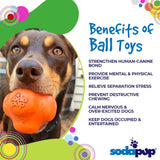 Sodapup Crazy Bounce - Durable Dog Ball Toy & Chew Toy Made In Usa From Non-Toxic, Pet-Safe, Food Safe Natural Rubber Material F