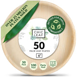 Chic Leaf Palm Leaf Disposable Bamboo Plates - Party Plates for Weddings & Cinco de Mayo Event Appetizers - Biodegradable & Comp