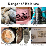 10/20/50 Gram(50 Packs) Moisture Absorbers, Premium Silica Gel Packs, Silica Packets for Storage, Silica Gel Desiccant Packets F