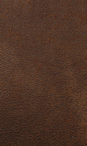 American Furniture Classics Model Buckskin Sofa Sleeper, Pinto Brown