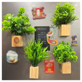 Bombay Greens Magnetic Planter For Fridge | Fridge Magnet | DCor Plants With Handmade Wooden Pot | Decorative Magnet Plants For 