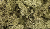 Spring Green Lichen Woodland Scenics
