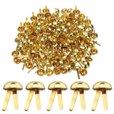 Harfington 100Pcs Brads Paper Fasteners, 12Mm X 19Mm Metal Paper Crafts Brads, Small Round Brass Split Pins For Children Craftin