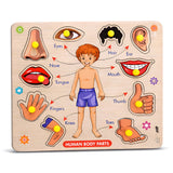 Toyshine Wooden Human Body Parts Puzzle For Kids | Educational Knob Puzzle Board For Learning Body Parts | Montessori Early Lear