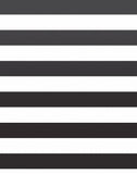 Teacher Created Resources Better Than Paper, 4 X 12 Feet, Black Stripes