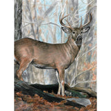 Royal Brush Color Pencil by Number Kit, 8.75 by 11.75Inch, Whitetail Buck