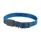 Nite Ize Nitedog Rechargeable Led Collar, Usb Rechargeable Light Up Dog Collar W/Metal Buckle, Water Resistant, Large, Blue