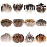 iHUFeather 360pcs Natural Pheasant Feathers Bulk Small Feathers 12 Styles Mixed Feathers for Crafts DIY Hat Floral Arrangements 