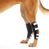 NeoAlly - Rear Leg Hock Brace, Dog Leg Brace for Rear Leg, Hock & Ankle Support for Large Dogs, Dog Brace for Torn Acl and Ccl, 