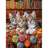 Perycomly Cat Diamond Art Kits for Adults Beginners, DIY Bookshelf Diamond Painting Kit with Resin Gems, Full Drill Embroidery C