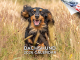 2025 2026 Dachshund Calendar - Dog Breed Monthly Wall Calendar - 12 x 18 Open - Thick No-Bleed Paper - Giftable - Academic Teach