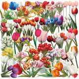 S.A.V.I 50 Pcs Tulip Flower Stickers Set, Waterproof Vinyl Decals