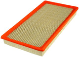 Fram Extra Guard Ca3914 Replacement Engine Air Filter For Select Gmc, Chevrolet, Winnebago And Pontiac Models, Provides Up To 12