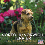 Norfolk/Norwich Terrier Calendar 2027 by MegaCalendars - Monthly Dog Breed Wall Calendar, Made in USA