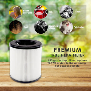 Aliddle B-D02L H13 True HEPA Filter Set, Compatible with Mooka and Koios B-D02L Purifier, 3-in-1 H13 True HEPA Replacement Filte