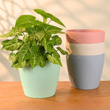 Eha EarthFriendly Deco 9 Inch SelfWatering Pots And Planters, Pack Of 4